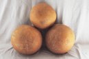 Calabaza entera Ø47-48 cm - Calabaza esferica