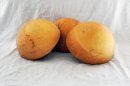 Media calabaza Ø25-26 cm - Calabaza hemisférica