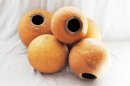 Calabaza entera Ø31-32 cm - Calabaza esferica