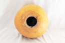 Calabaza entera Ø41-42 cm - Calabaza esferica