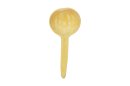 Calabaza cucharón cuchara Ø10-15 cm