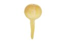 Calabaza cucharón cuchara Ø10-15 cm