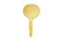 Calabaza cucharón cuchara Ø10-15 cm