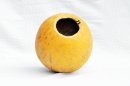 Calabaza entera Ø21-22 cm - Calabaza esferica