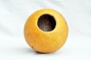 Calabaza entera Ø23-24 cm - Calabaza esferica