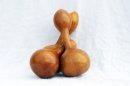 Calabaza botella Ø15-16 cm - Calabaza de botella