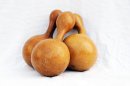 Calabaza botella Ø17-18 cm - Calabaza de botella