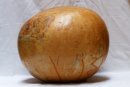 Calabaza entera Ø59-60 cm - Calabaza esferica
