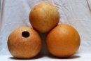 Calabaza entera Ø17-18 cm - Calabaza esferica