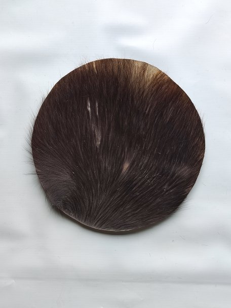 Piel de buey, piel de búfalo, piel toro o piel de vaca pequeña gruesa para tambor djembé percusion