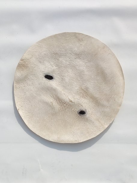 Piel de burro fina con pelo para tambor djembe M