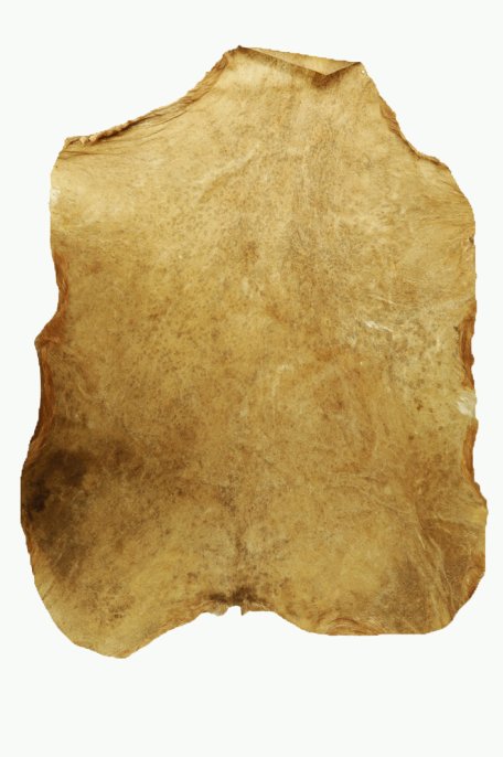 Piel de macho cabrío del Sahel castrado afeitada muy muy gruesa - Parche para tambor djembé