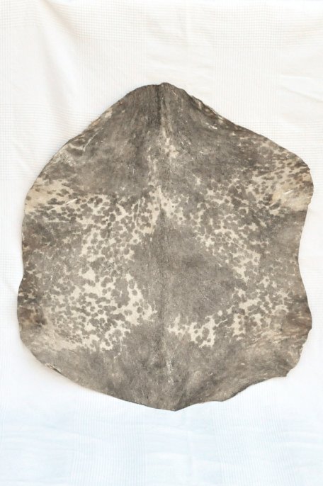 Piel de cabra del Sahel blanca manchada - Piel para tambor djembé