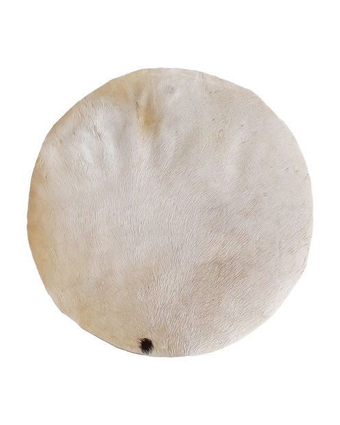 Piel de caballo fina con pelo para tambor djembe M
