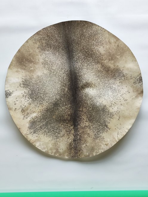 Piel de ciervo afeitada gruesa muy grande para tambor djembé percusión