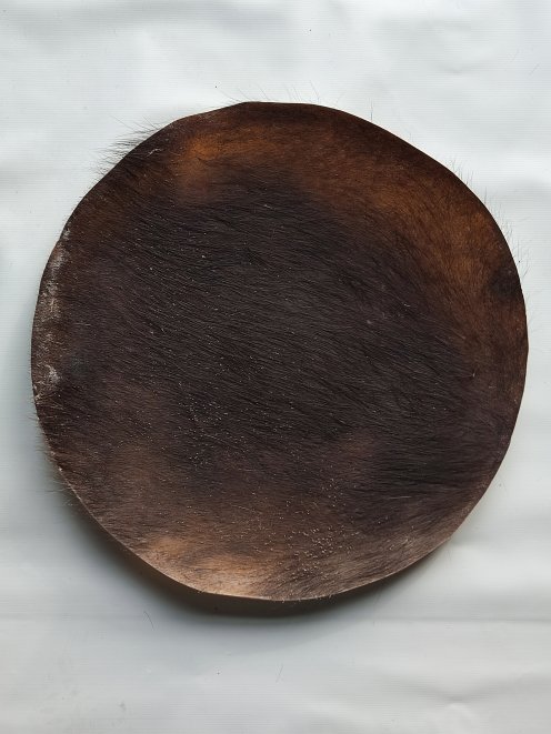 Piel de buey, piel de búfalo, piel toro o piel de vaca grande gruesa para tambor djembé percusion