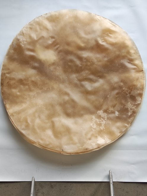 Piel de vaca muy muy grande sin pelo para tambor djembé percusion