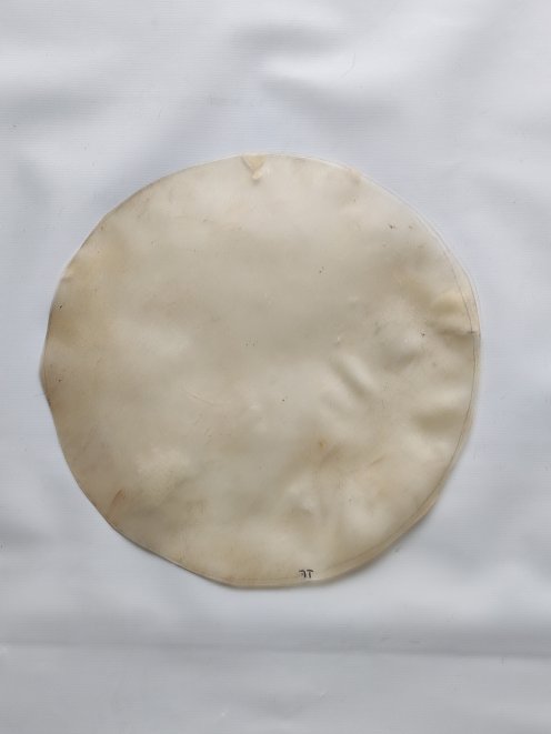 Piel de becerro o piel de vaca fina pequeña sin pelo para tambor djembé percusion