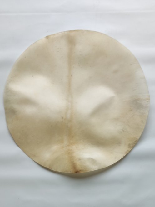 Piel de alce afeitada muy gruesa muy grande para tambor djembé percusión