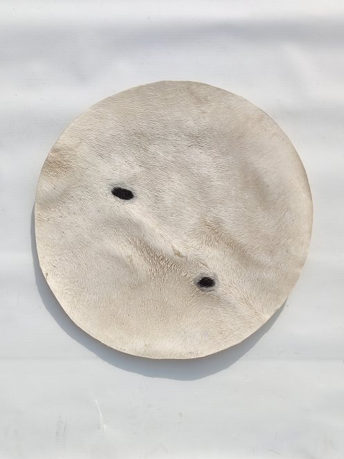 Piel de burro fina con pelo para tambor djembe M