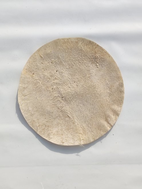 Piel de mula muy fina con pelo para tambor djembe M