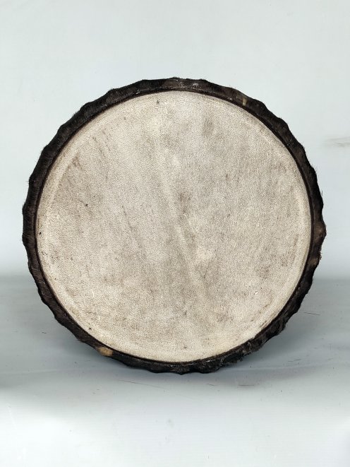 Djembé de Guinea de madera de balafón (gueni) - Djembe calidad superior