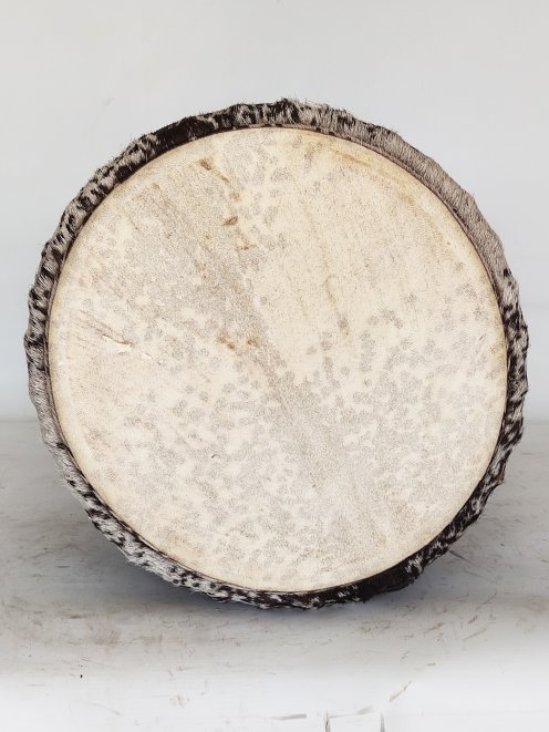 Djembé de Guinea de madera de balafón (gueni) - Djembe calidad superior