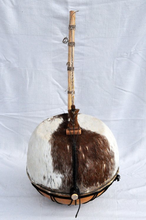 Bolón bato- Instrumento cuerda bolon