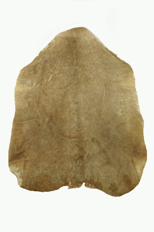 Piel de cabra del Sahel afeitada muy gruesa - Parche para tambor djembé