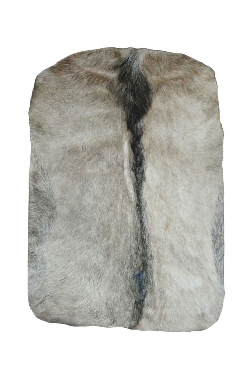 Piel de cabra del Sahel muy gruesa con pelo - Parche para tambor djembé