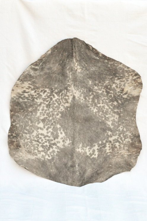 Piel de cabra del Sahel blanca manchada - Piel para tambor djembé