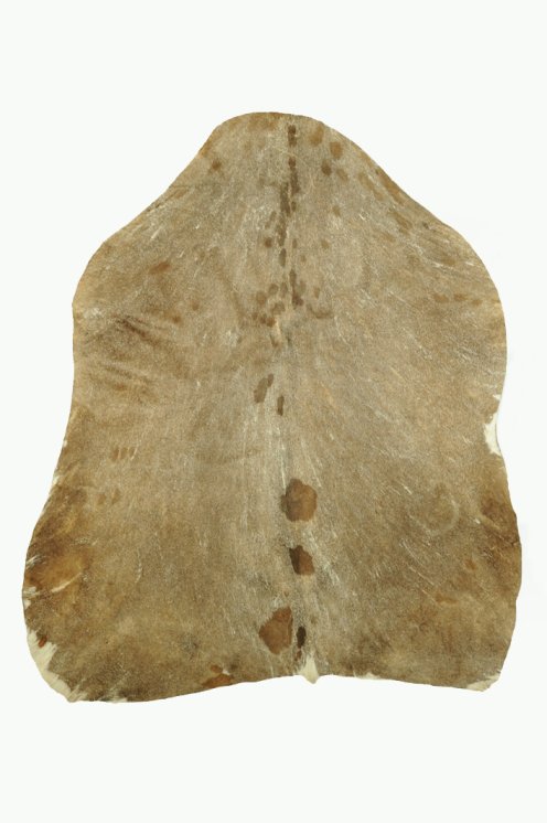 Piel de cabra del Sahel afeitada muy gruesa - Parche para tambor djembé