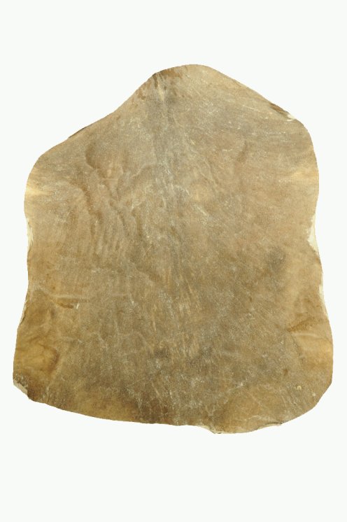 Piel de cabra del Sahel afeitada muy gruesa - Parche para tambor djembé