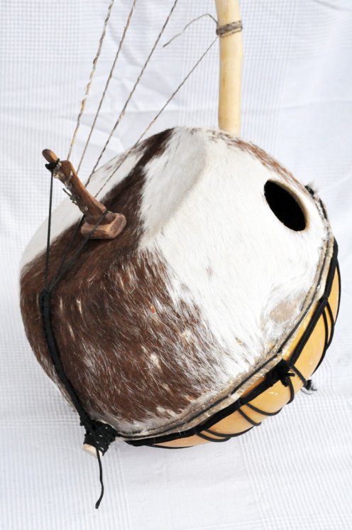 Bolón bato- Instrumento cuerda bolon