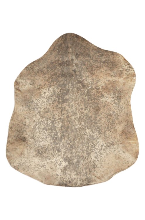Piel de cabra del Sahel moteada gruesa - Parche para tambor djembé