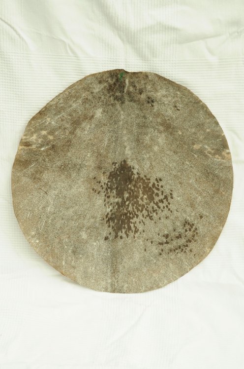 Corte de piel de cabra para djembé esquilada de grosor mediana - Cuero djembe tambor