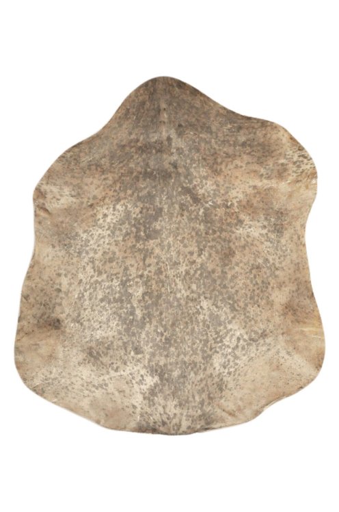 Piel de cabra del Sahel moteada gruesa - Parche para tambor djembé
