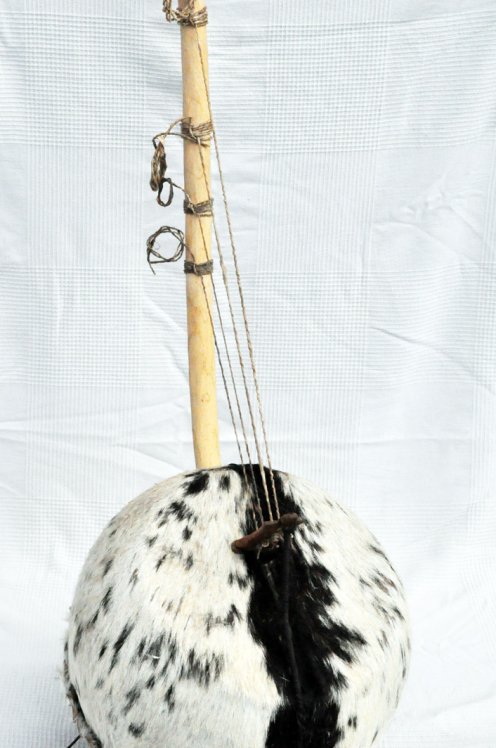 Bolón bato- Instrumento cuerda bolon