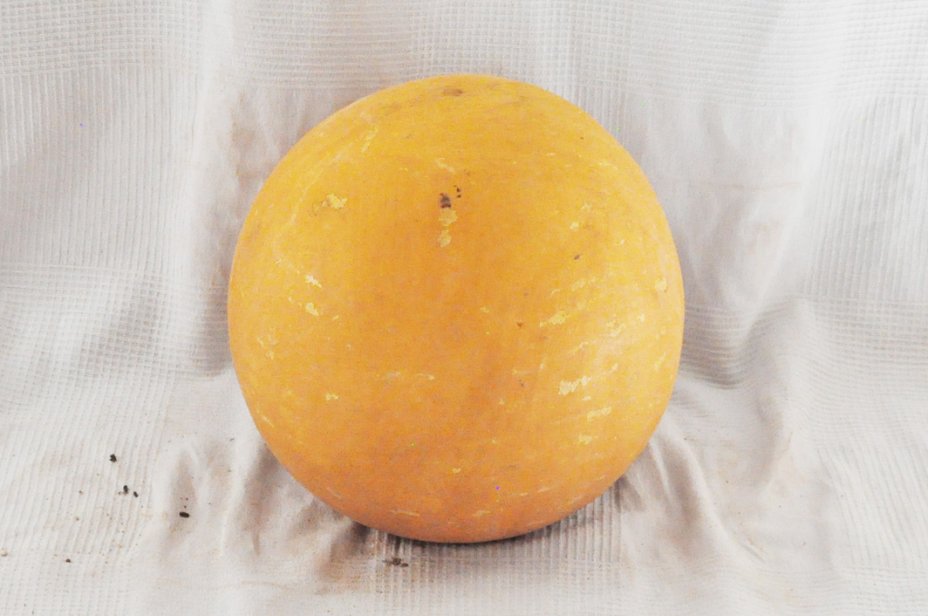 Calabaza entera Ø25-26 cm - Calabaza esferica