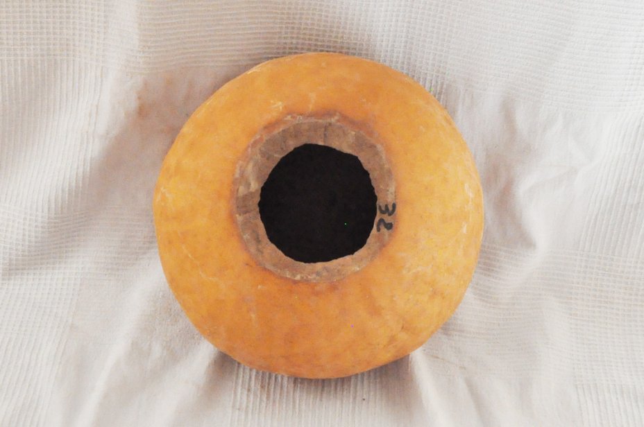 Calabaza entera Ø31-32 cm - Calabaza esferica