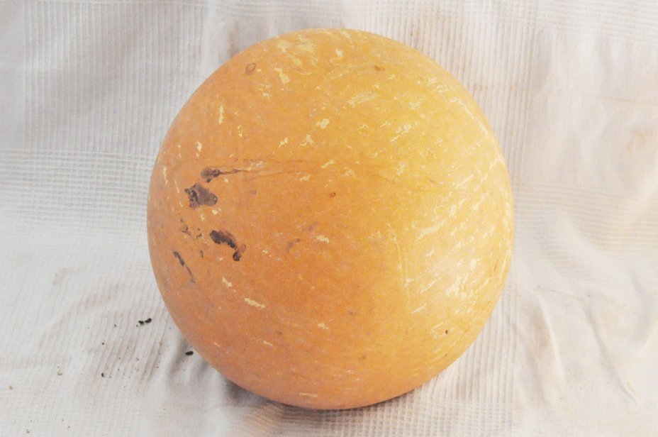 Calabaza entera Ø55-56 cm - Calabaza esferica