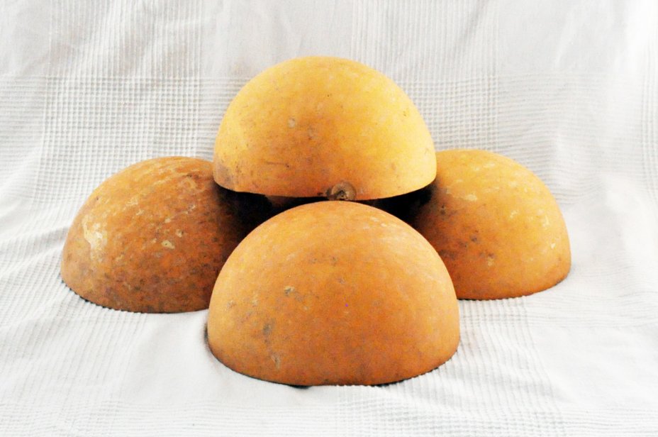 Media calabaza Ø15-16 cm - Calabaza hemisférica