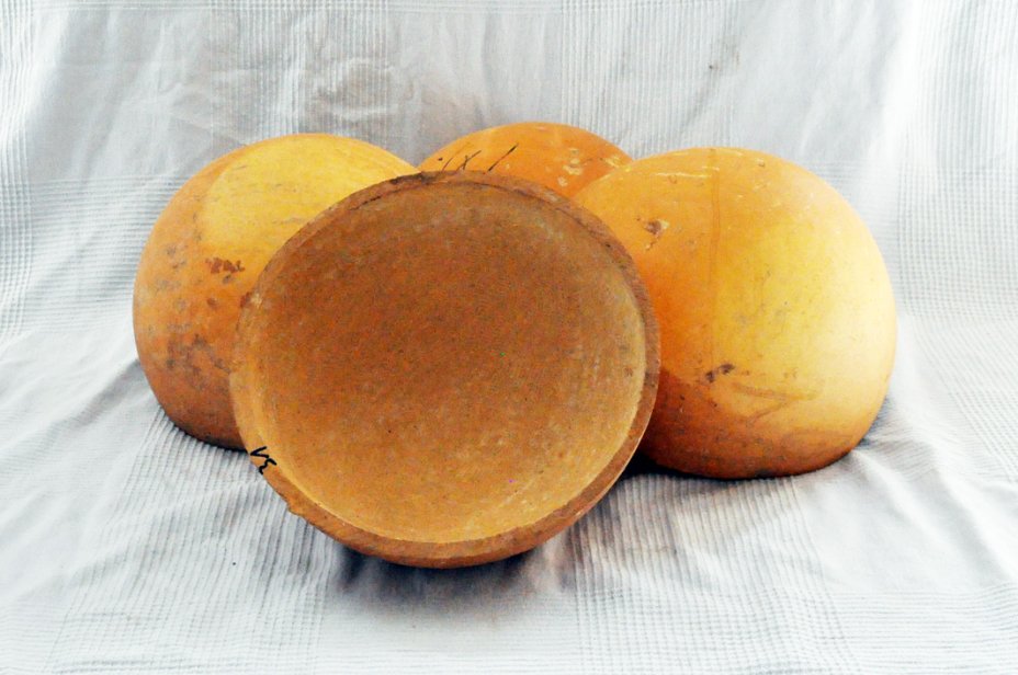 Media calabaza Ø31-32 cm - Calabaza hemisférica