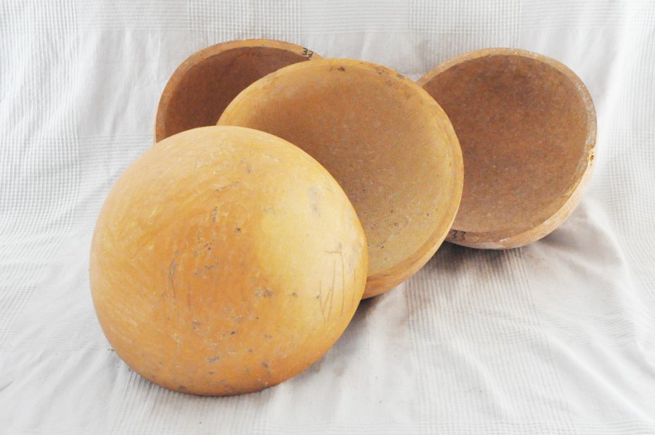 Media calabaza Ø33-34 cm - Calabaza hemisférica