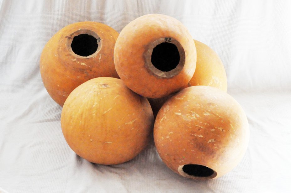 Calabaza entera Ø31-32 cm - Calabaza esferica