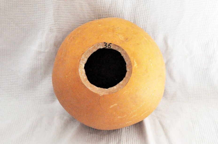 Calabaza entera Ø35-36 cm - Calabaza esferica
