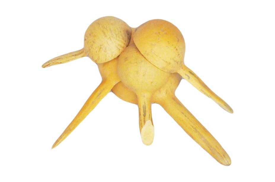 Calabaza cucharón cuchara Ø10-15 cm