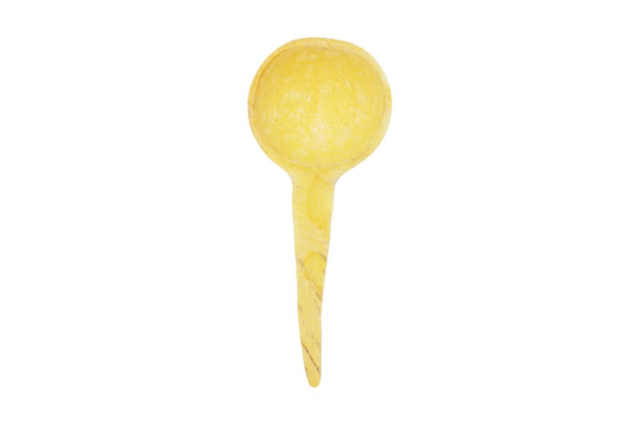 Calabaza cucharón cuchara Ø10-15 cm