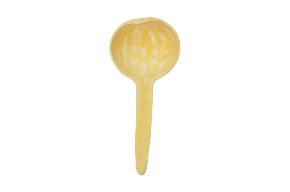 Calabaza cucharón cuchara Ø10-15 cm