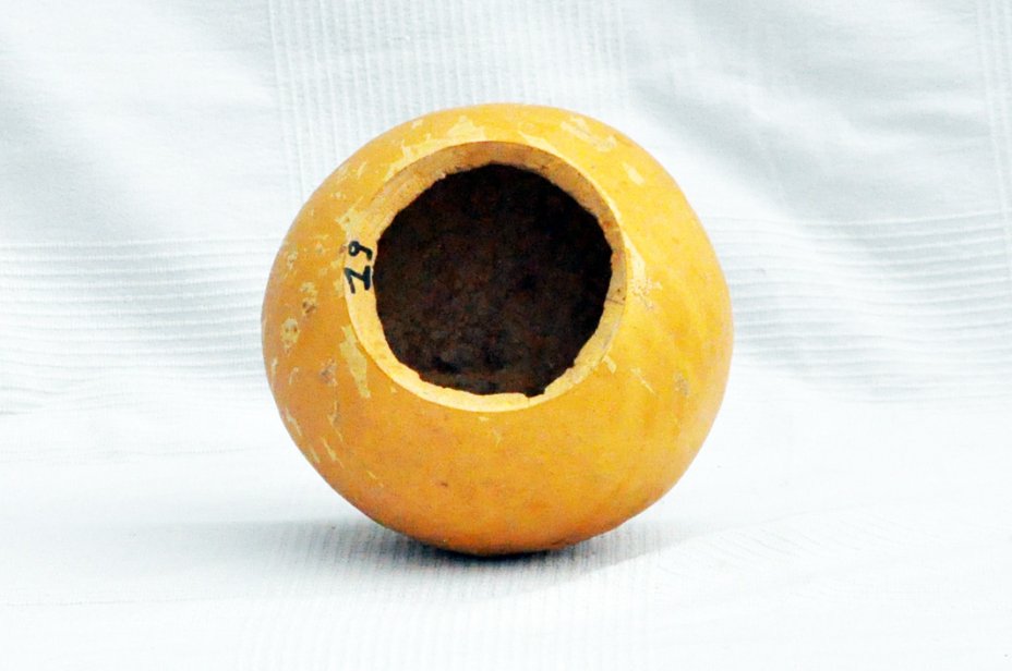 Calabaza entera Ø19-20 cm - Calabaza esferica